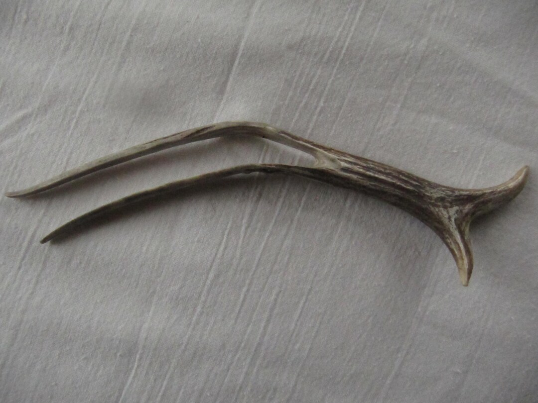 Combing Roe Antler Hair Fork.hair Fork.antler Hair Stick. Roe Hair Fork.native Hair ...