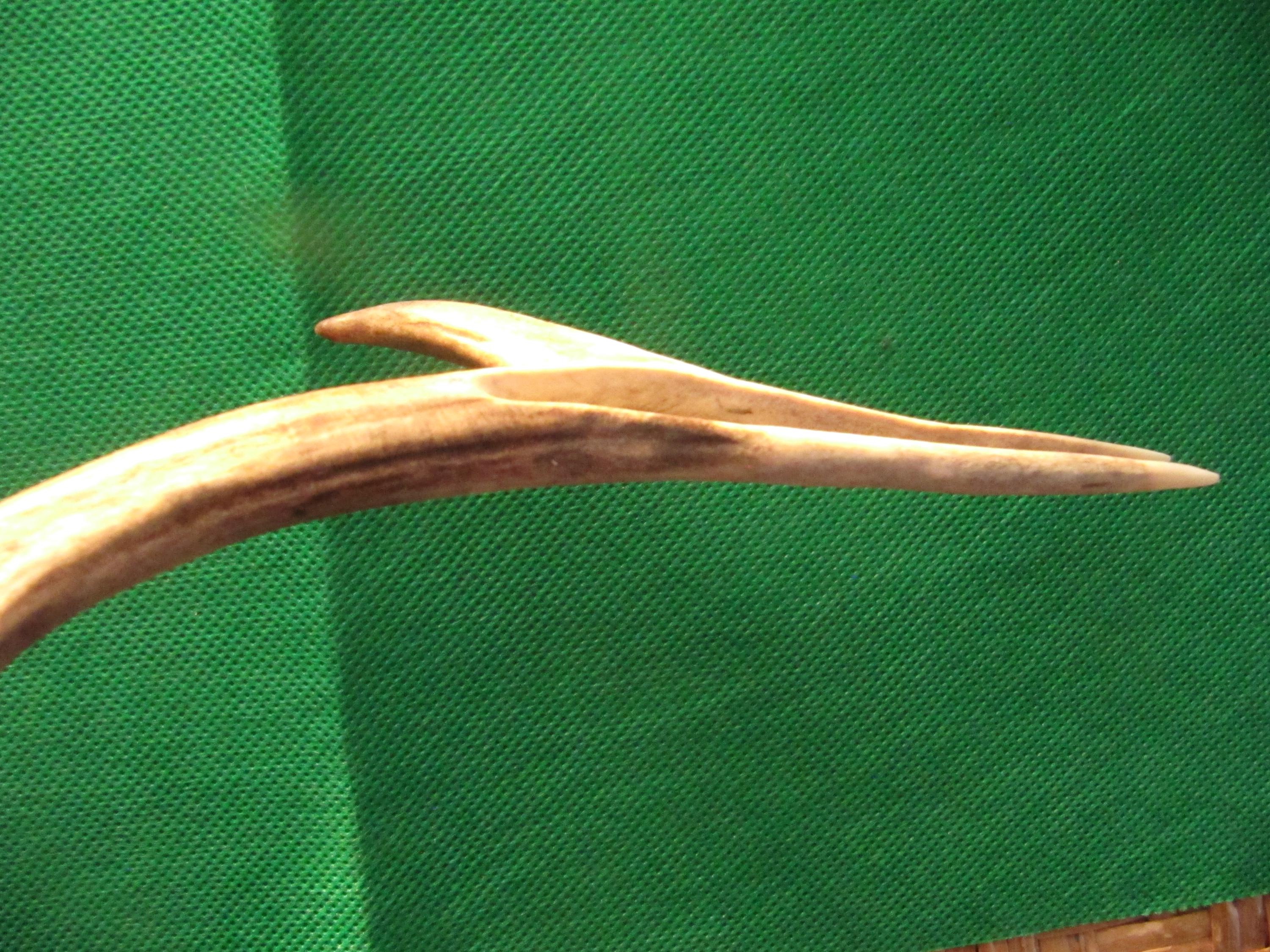 Combing Roe Antler Hair Fork.hair Fork. Antler Hair Stick. Roe Hair Fork. Native ...