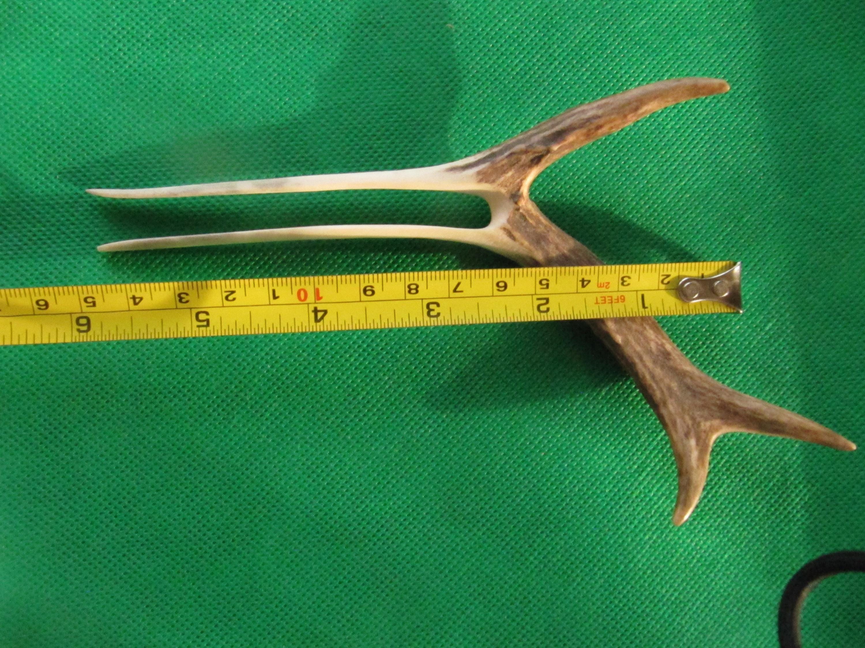 Combing Roe Antler Hair Fork.hair Fork. Antler Hair Stick. Roe Hair Fork. Native ...