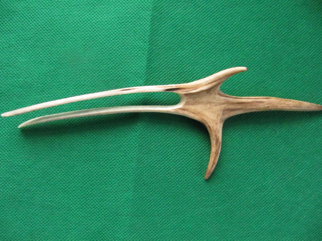 Combing Roe Antler Hair Fork.hair Fork. Antler Hair Stick. Roe Hair Fork. Native ...