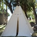 see more listings in the XL/XXL Party Teepee section