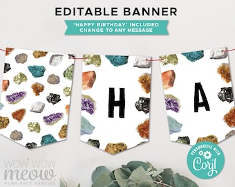 Geology Party Banner Birthday Bunting Flags Geode Rocks Crystals Editable Instant Download Boys Girls Birthday Decoration Printable WCBK110