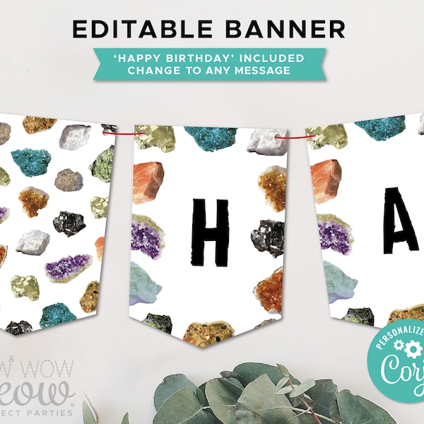 Geology Party Banner Birthday Bunting Flags Geode Rocks Crystals Editable Instant Download Boys Girls Birthday Decoration Printable WCBK110