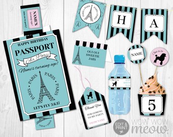Paris Birthday Invitation Paris Invitation Printable Paris - Etsy