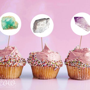 Géologie Anniversaire Cupcake Cristaux Pierres d&#39;anniversaire Pierres Filles Garçons Gâteaux Fête TÉLÉCHARGEMENT IMMÉDIAT Fête d&#39;enfants WCBK110
