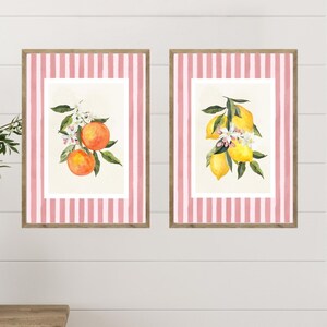 Grandmillennial Citrus Art - Citrus Botanische Drucke, Kunstdrucke für Küche, Digitale Wandkunst für die Küche, gemütliches Wohndekor
