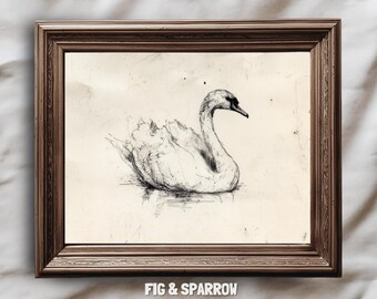 Vintage Swan Sketch | Rustic Bird Printable | Classic Animal Digital Download