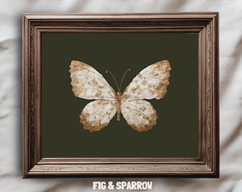 Vintage Butterfly Wall Art | Olive Green Botanical Print | Rustic Insect Digital Download