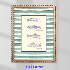 Vintage Fisch Illustration Druck: Maritime Küsten Cottage Kunst (Digitaler Download