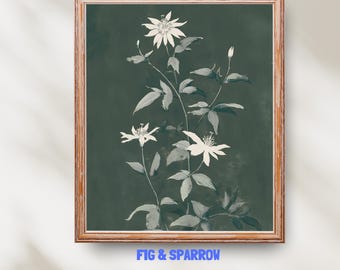 Weißer botanischer Blumendruck | Stimmungsvolle grüne Blumenwandkunst | Vintage Natur Dekor | Digitaler Download
