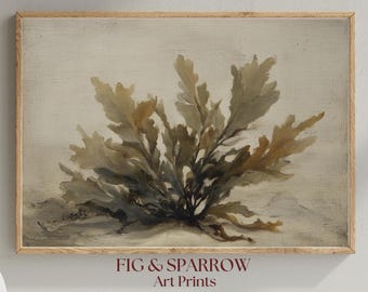 Vintage Seaweed Botanical Print: Coastal Ocean Wall Art (Digital Download)