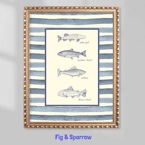 Vintage Fisch Illustration Kunstdruck: Hecht, Forelle & Lachs (Digitaler Download)