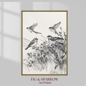 Bird Wall Art Printable, Vintage Pencil Drawing Sketch, Botanical Nature Illustration Digital Download