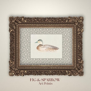 Impressão de arte em aquarela de pato vintage | Decoração de parede de fazenda cottagecore | Ilustração de pato no campo | Download de arte rústica para impressão