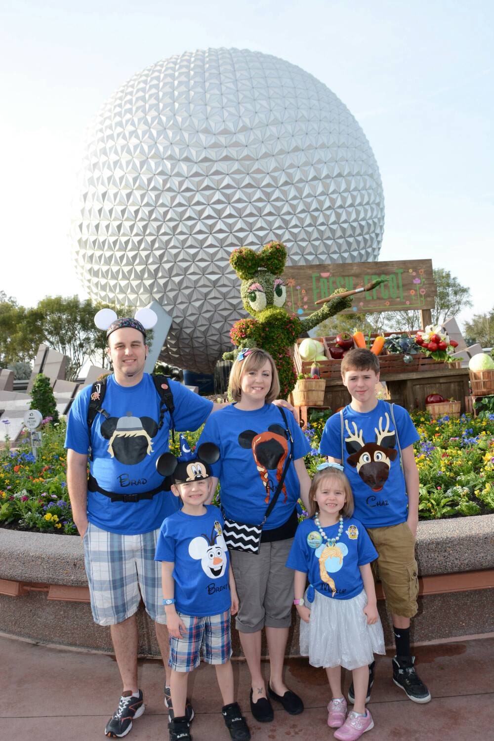 Disney World Shirt FROZEN Disney 