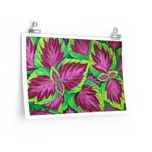 Plant Art, Plant Painting, Coleus Art, Plant Print, Coleus Print, Plant Decor, Premium Matte horizontal posters, Painting Poster, Coleus Art
