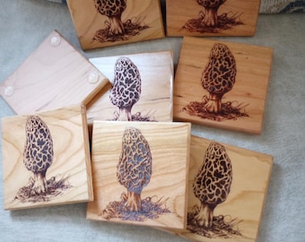 Quality Laser Engraved Cherry Wood Coasters -Mushroom Madness