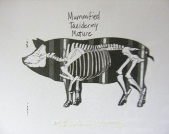 Petrified/Mummified/Preserved Fetal Piglet