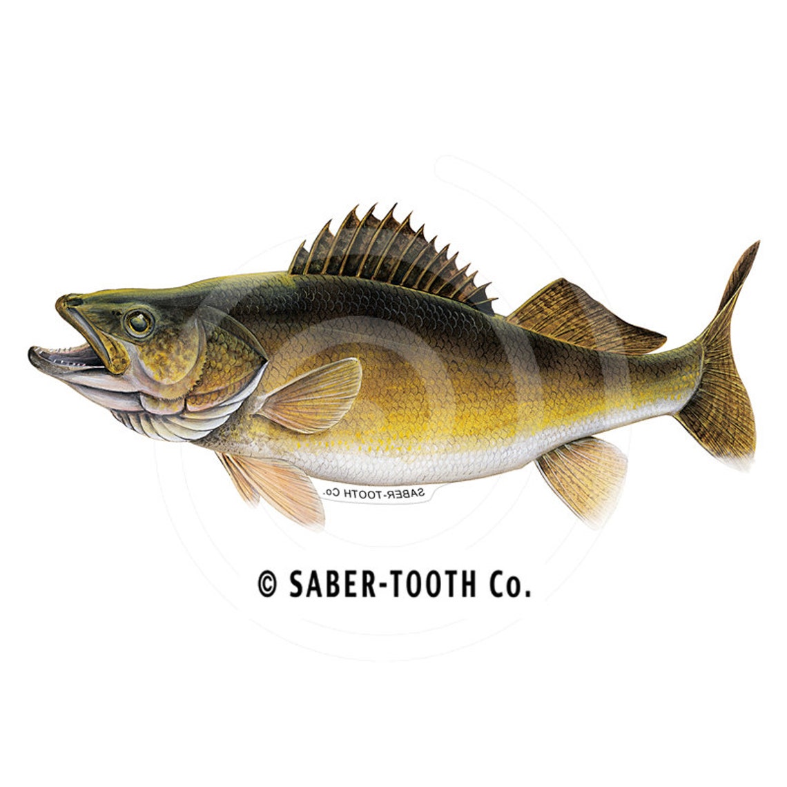 Walleye Fish Decal Sticker Etsy