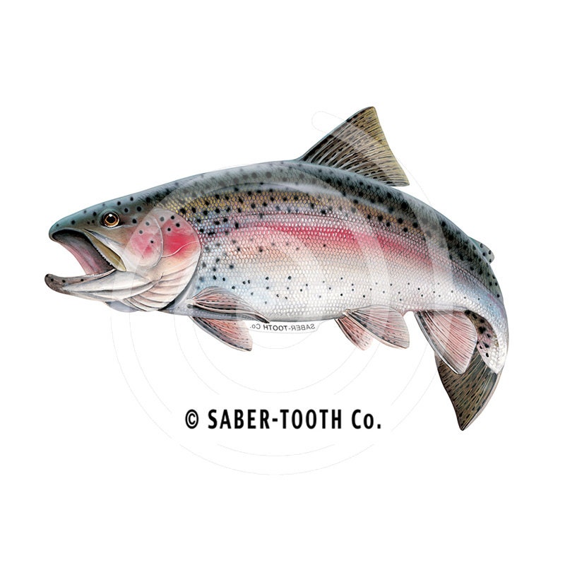 GT Graphics Rainbow Trout Fish Vinyl Sticker Waterproof Decal 