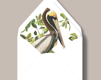 Brown Pelican James Audubon Euro Flap Envelope Liner A7
