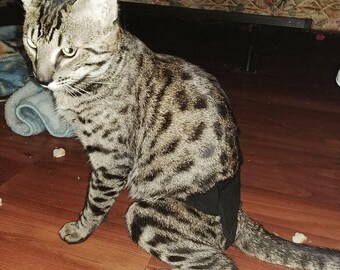 cat diaper suspenders