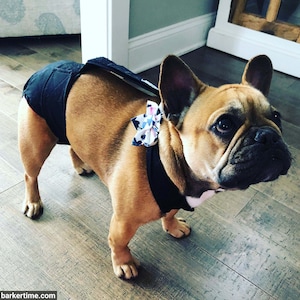 Washable Dog Diaper - Denim on Black Escape-Proof Premium Waterproof Dog Diaper Overall