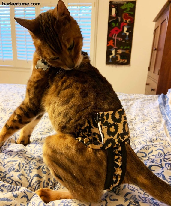 Cat diapers hotsell