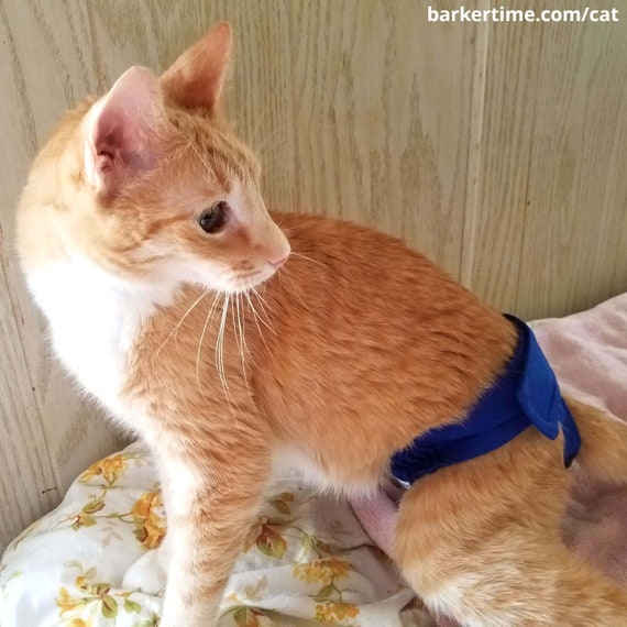 reusable cat diapers