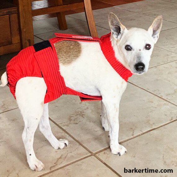waterproof dog diapers