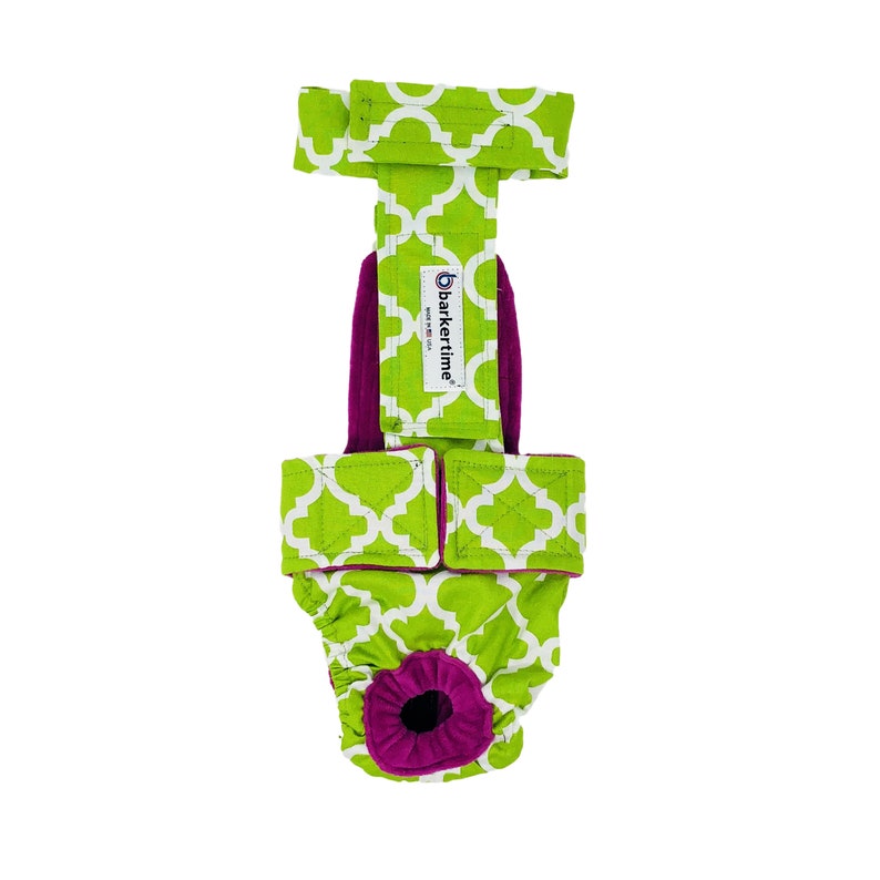 Washable Dog Diaper White Quatrefoil on Green Escape-Proof Washable Dog Diaper Overall