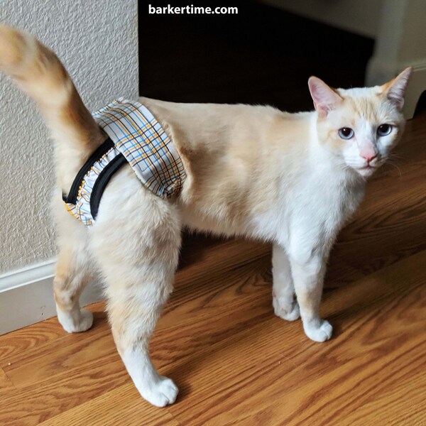 Blue and Yellow Plaid Washable Cat Diaper Pull-up - Allows for Defecating in Litter Box