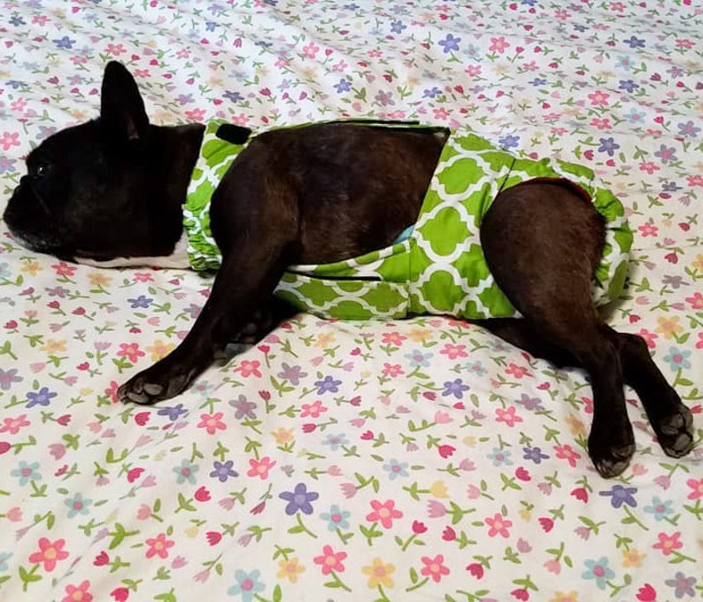 Washable Dog Diaper White Quatrefoil on Green Escape-Proof Washable Dog Diaper Overall