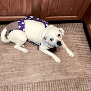 Escape-Proof Dog Diaper - Purple Polka Dot on Brown Premium Waterproof Dog Diaper Overall