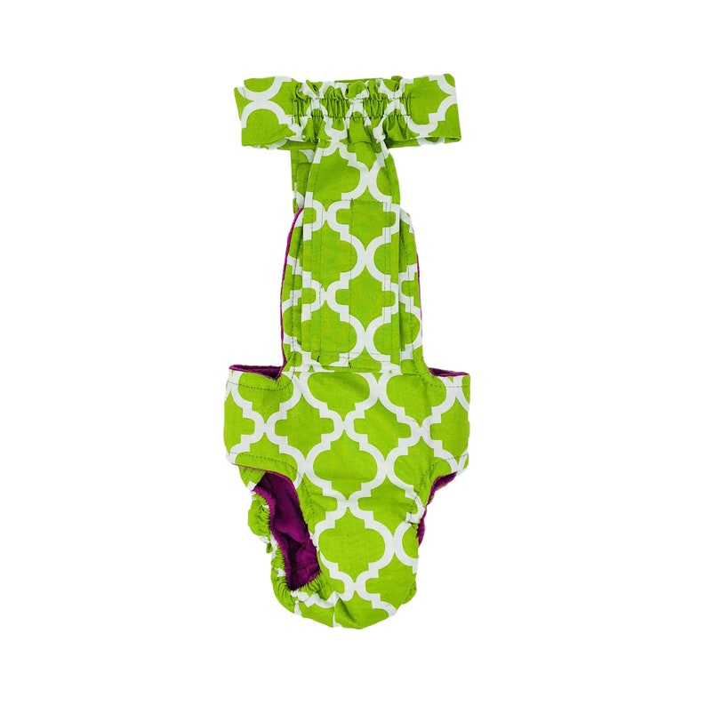 Washable Dog Diaper White Quatrefoil on Green Escape-Proof Washable Dog Diaper Overall