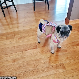 Washable Dog Diaper - Cherry Blossom on Blue Escape-Proof Premium Waterproof Dog Diaper Overall