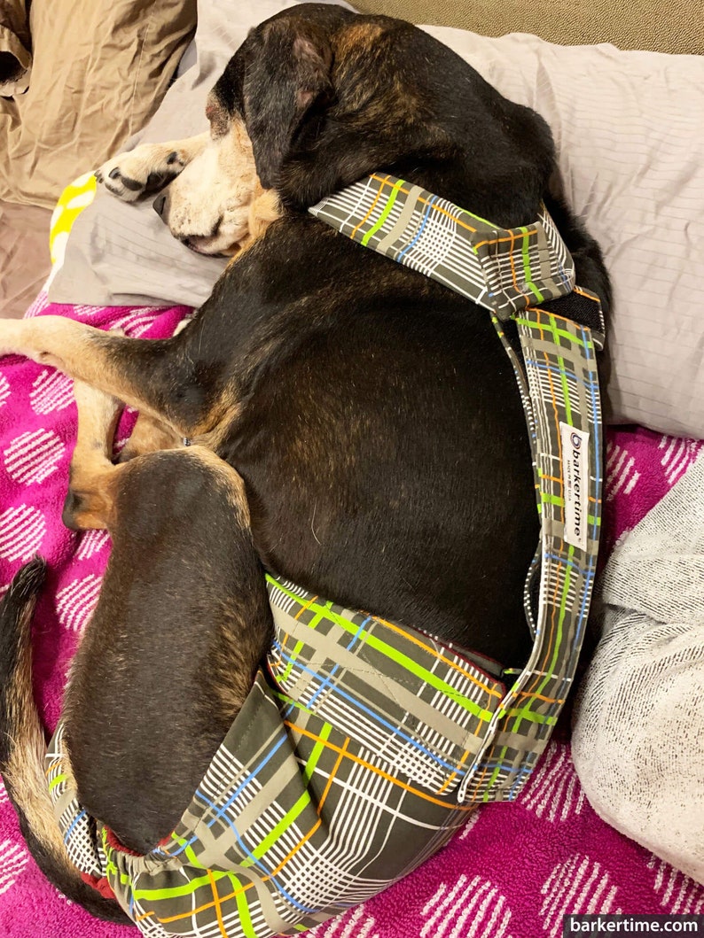 hunde windel