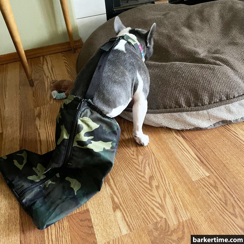 Camo Dog Drag Bag for Paralyzed Pets Etsy