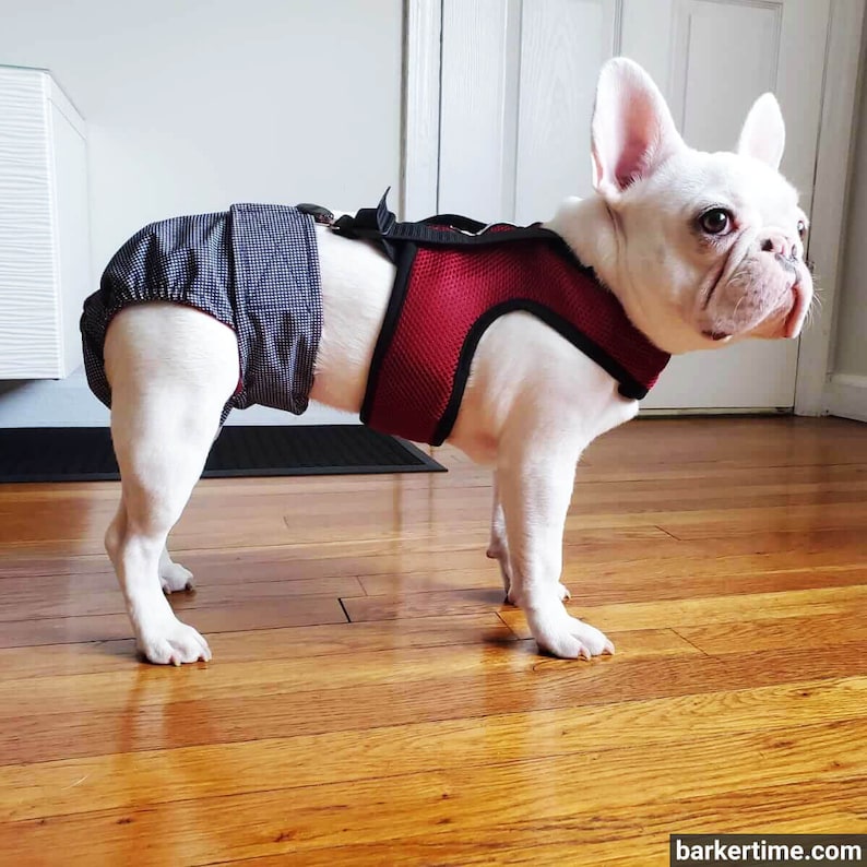 Dog Diaper Suspender Harness Burgundy Mesh Diaper Suspender Etsy