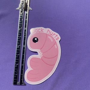 Shrimp Back Hurts 2.5” Waterproof Sticker // Cute Animal Sticker // shrimp posture sticker // simple sticker // back hurts // shrimple