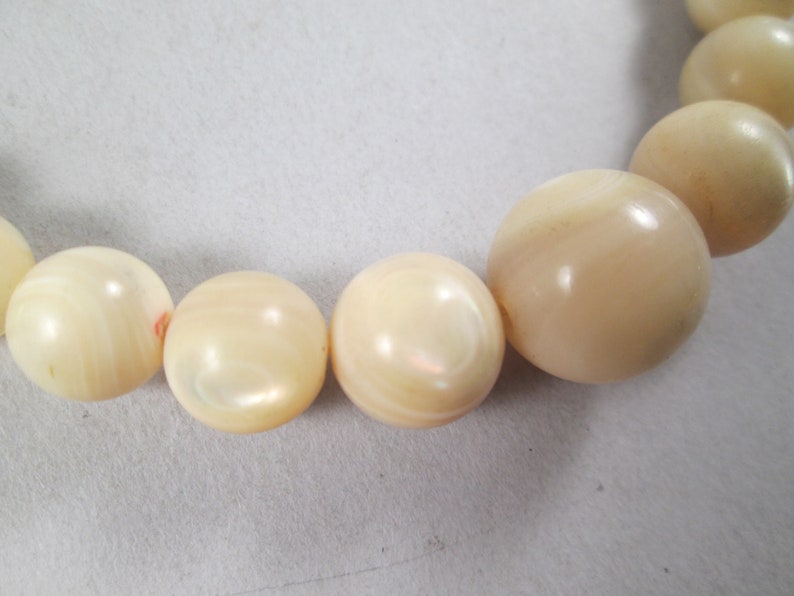 May include: A strand of cream-colored pearl beads with a slight iridescent sheen.