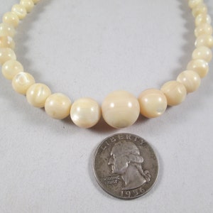 May include: A white pearl necklace with a diameter of approximately 1/2 inch. The necklace is laid out on a white surface with a US quarter for scale.