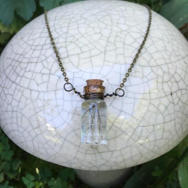 Aile de bogue dans un collier de bouteille