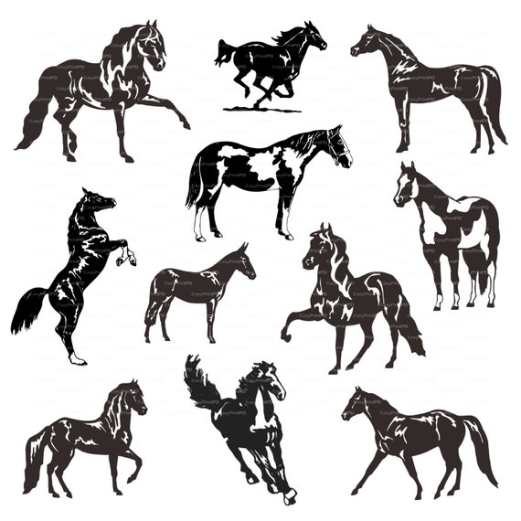 Download Horses silhouette eps svg dxf ai jpg png Vector Digital | Etsy