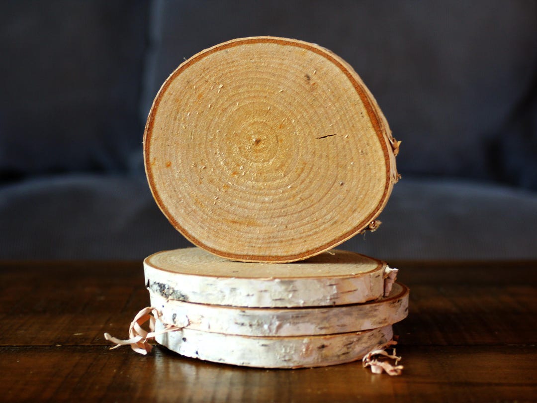 Wood Coasters With Bark - Rustic - Natural - Set of 4 - Etsy