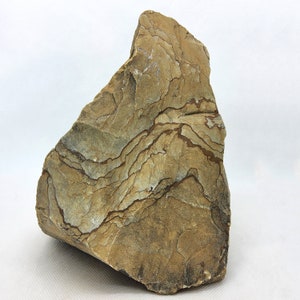 Picture Jasper, Owyhee, paesaggio, 8,5 libbre, alta qualità, cabbing grezzo, lapidario, pietra preziosa, esemplare, minerale, marrone, #R-5488