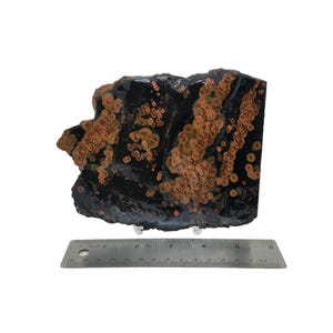 May include: A large, flat piece of black and orange jasper with a unique pattern of orange spots. The jasper is about 5 inches wide and 7 inches long.