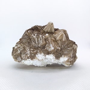 Puede incluir: Un espécimen mineral natural con un grupo de formaciones cristalinas radiales. La roca tiene una base marrón oscuro con estructuras cristalinas blancas y claras. Los cristales tienen un patrón radial.