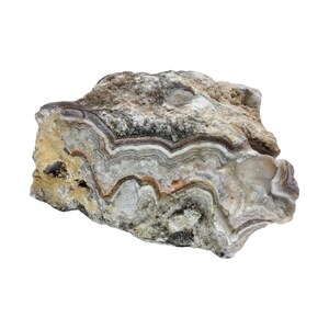 Bubble Lace Agate, 22 pounds, lot, cabbing rough, lapidary, gemstone, #R-6195