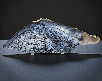 Parral Dendritic Agate, cabbing rough, lapidary, #R-6826
